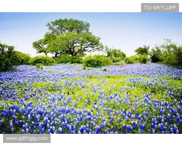 花海亲子跑开跑！700 余家庭解锁健康欢乐时光